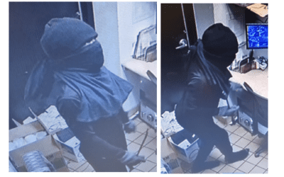 Restaurant Burglaries in Cary